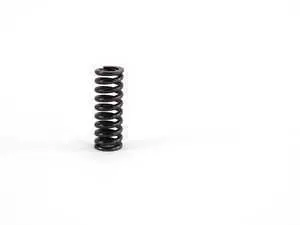 Genuine BMW Compression Spring - 23311224215