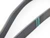 Continental Continental Accessory Drive Belt - E53 11287636369 View 3