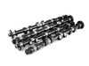 Cat Cams Cat Cams Sport Camshaft set - 263/257 10.30mm/9.90mm - E39 540i E38 740i E31 840i 1303702 View 1