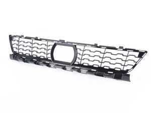 Grill - Air Intake - Center - G11