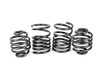 Turner Motorsport J-Stock Turner Motorsport Race Spring Set - E30 - (NO LONGER AVAILABLE) TURNER3000KT View 1