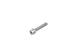 Genuine BMW Asa-Bolt