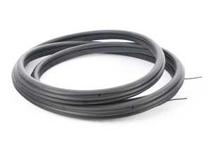 Genuine MINI Door Weatherstrip Front - 51339808654