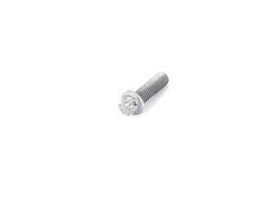 Genuine BMW Torx Screw - 07129907102