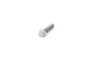Genuine BMW Torx Screw - 07129907102