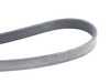 Continental OEM Continental Serpentine Belt - E36 E34 E39 Z3 M50 M52 S50 & S52 6 Cylinder 11281469266 View 6