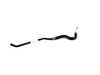 Genuine BMW Genuine BMW Engine Oil Cooler Pipe, Flow - 17222358290 - F80,F82,F83 17222358290 View 2
