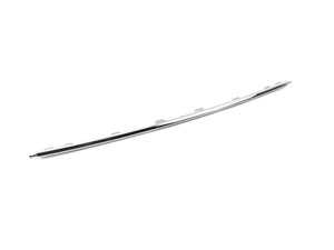 Genuine BMW Protective Mouldings, Center - 51127369915