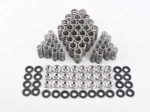 Supertech BMW S54 Dual VALVE Spring Kit - E46 M3 Z3M Z4M