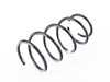 Genuine BMW Genuine BMW Coil Spring - 31331091083 - E36 31331091083 View 1