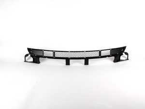 Genuine BMW Grid, Bumper Front Schwarz - 51117132054 - E46
