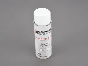 Bav Auto 12oz Touch Up Paint Spray Can - Titanium Silver Code 354