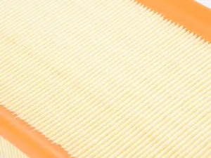 Genuine BMW Air Filter - F02 760li