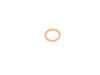 Genuine BMW Genuine BMW Gasket Ring 12X15,5 - 13821432344 - E53 13821432344 View 1