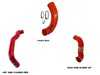 M7 Speed MINI Cooper N14 Intake, Hot Side & Cold Side Hose Kit | Red 56-314302 View 1