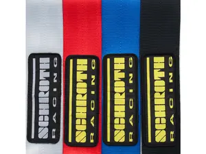 Schroth Profi II ASM Racing Harness - Black - Left Side