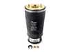 Arnott Arnott Rear Air Spring - Right - E39 Touring 37121095082 View 1