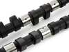 Schrick BMW S38 6 Cyl. 280-Degree - Camshaft TMS136 View 3