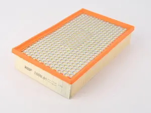 Hengst Air Filter - E65