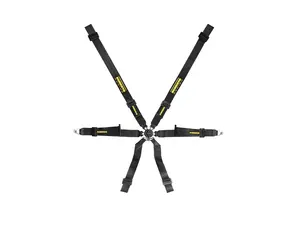 Schroth Profi XLT 2x2 Racing Harness - Black - Pull Down