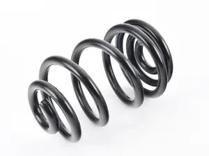 E46 M3 Coupe Factory Replacement Rear Spring - Single