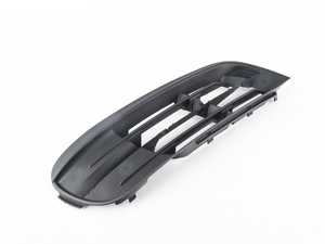 Genuine BMW Grill, Air Intake, Open, Rig