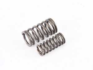 Genuine BMW Valve Spring Set - E46 Z3 Z4