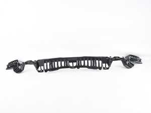 Genuine BMW Guide, Center Rear - 51127260462 - F31