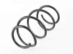 Lesjofors Front Coil Spring - E46