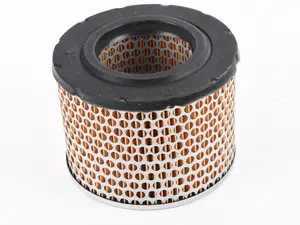 Mahle Air Filter - E10