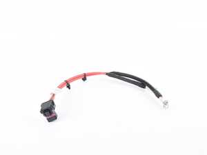 Wiring Harness Kill Switch - F06, F10, F12, F13