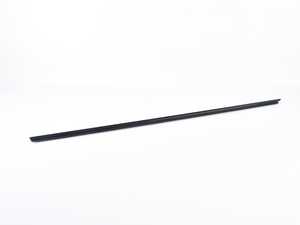Genuine BMW Outer Weatherstrip, Left