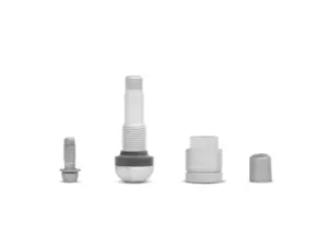 APEX Wheels Metal Valve Stem - Silver - BMW & MINI