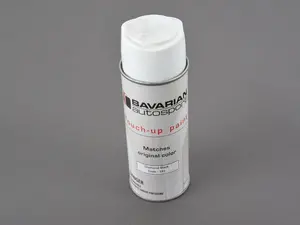 10 oz Spray Touch Up Paint - Diamond Black 181