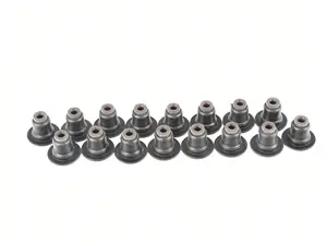 Valve Stem Seal Kit - Set Of 16 - N12 N14 N16 N18 1.6L Engine