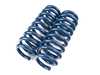 Dinan Performance Spring Set D100-0925 View 3
