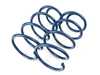 Dinan Performance Spring Set D100-0925 View 4