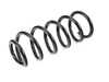 Genuine MINI Genuine MINI Rear Coil Spring - 33539806816 33539806816 View 1