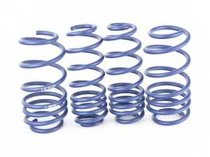 OE Sport Spring Set