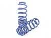 H&R OE Sport Spring Set 54760-55 View 2