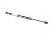 Genuine BMW Genuine BMW Gas Pressurized Spring, Hood - 41618056705 41618056705 View 1