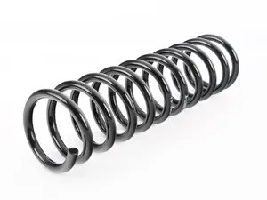 B3 Rear Coil Spring - Priced Each