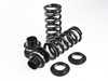 BC Racing BC Racing BR Series Coilover Suspension Kit - 5-Bolt Top Mounts - F30 RWD I-80-BR View 2