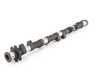 Schrick BMW S85 10 Cyl. 296/284-Degree - Camshaft Set s85-296-284KT View 1