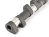Schrick BMW S85 10 Cyl. 296/284-Degree - Camshaft Set s85-296-284KT View 3