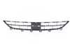 Genuine BMW GRILL, CENTER LOWER 51117453748 View 1