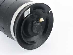 Arnott Rear Air Spring - E61