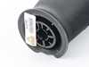 Arnott Arnott Rear Air Spring - E61 37126765602 View 4