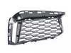 Genuine BMW GRILL, AIR INTAKE, O 51118063421 View 2