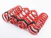 Megan Racing Lowering Spring Kit MRLSBX507 View 1